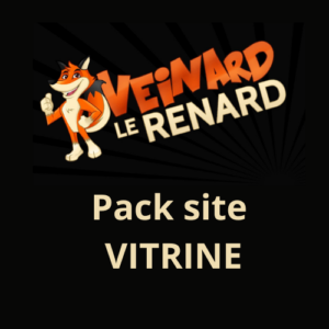 Site Vitrine + Google My Business "veinardlerenard.fr"