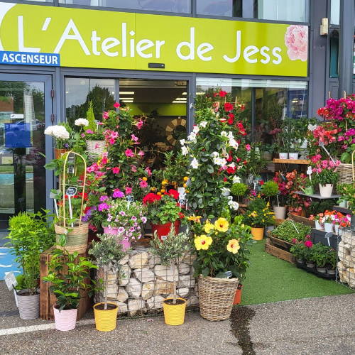 Design sans titre (12)