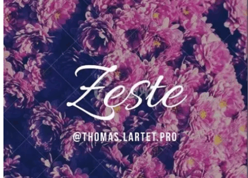 ZESTE