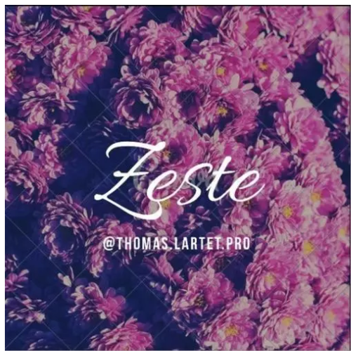 ZESTE
