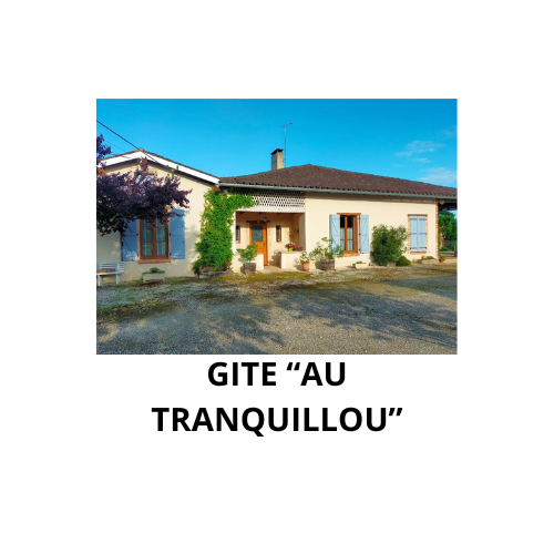 Ajouter un sous-titre (14)
