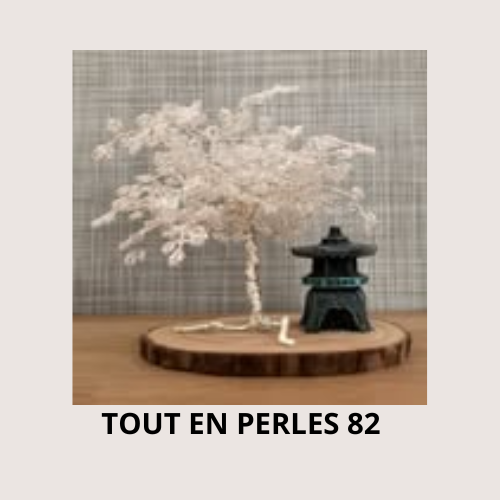 Ajouter un sous-titre (4)